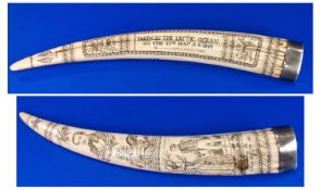 19th Century White Metal Topped Walrus Tusk With Scrimshaw Work. The Scrimshaw work possibly of