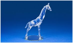 Swarovski Silver Crystal Figure, `Baby Giraffe` Issued 1999. Number 236717. 5.5`` in height. With