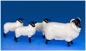 Beswick Sheep Figure 4 in total, `Black Faced Sheep`, Model No 1765. Height 3.25 inches. Plus black
