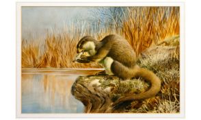 Cyril David Johnston (b.1946)- Framed Watercolour,  Study Of An Otter,  Perched at the Waters Edge