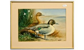 Cyril David Johnston (b.1946)- Framed Watercolour, Mallards In Seascape,  Signed And Dated 1977. 8½