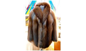 Red Fox Fur Jacket, shawl collar with short haired fox strip lining, giving a better lie, vertical