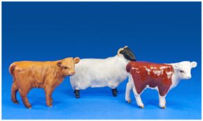 Two Beswick Calves, Matt Brown & Black And White Gloss Together With A Black Faced Sheep.