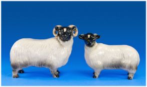 Coopercraft Pottery Ram And Black Faced Sheep.