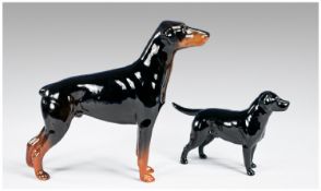 Beswick Dog Figures (2) in total. 1. Doberman model no 3121 height 5.25 inches, 2. Labrador `Solomon
