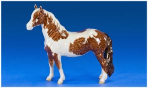 Beswick Pony Figure `Pinto` 1st Version, model number 1373. 6.5`` in height.