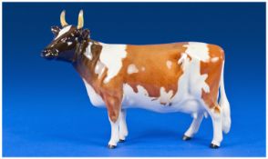Beswick Farm Animal `Ayrshire Cow, Ickham Bessie`, model number 1350. 5`` in height,