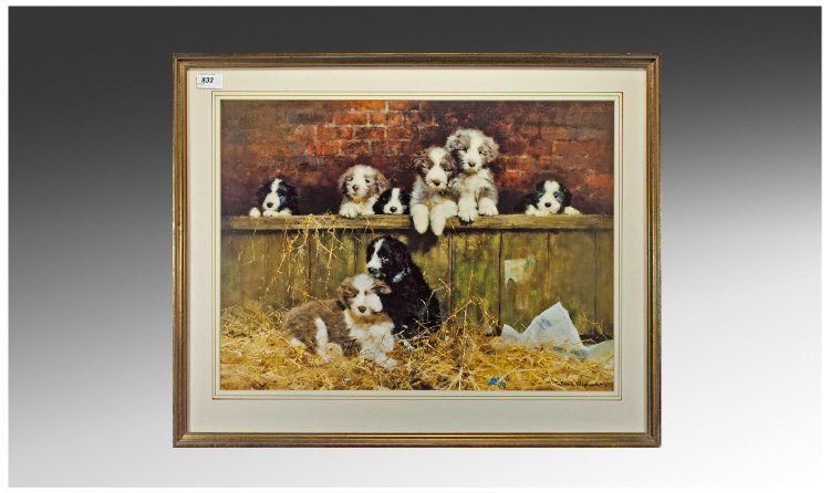David Shepherd Framed Coloured Print `Border Collie Puppies in Barn` 28 by 23 inches (inc frame).