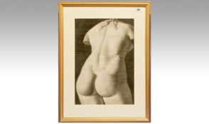 18th Century Torso Drawing In Charcoal Of Venus, after the antique. Circa 1800. Drawing measures