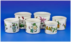 Set of Six Portmeirion Pottery `The Botanic Gardens` Jardinieres. Includes `Colchicum` Meadow
