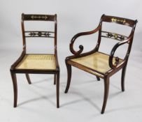 A set of six Regency brass inset rosewood dining chairs, including a pair of carvers, with squab