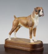 A Royal Worcester porcelain model of a Boxer dog, c.1980, modelled by Doris Lindner, printed marks