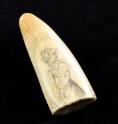 A scrimshaw whale`s tooth, decorated with a female portrait to one side and a coconut tree to the