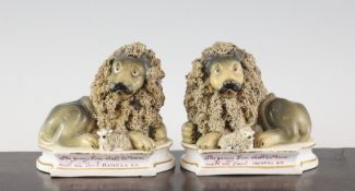 A pair of Lloyd of Shelton porcelain groups of a lion and lamb, c.1830, on inscribed serpentine