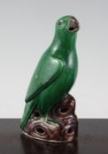 A Chinese green glazed porcelain model of a parrot, 18th century, on a pierced brown glazed rock