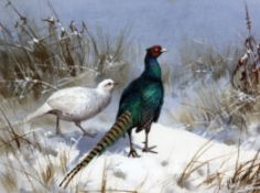 John Cyril Harrison (1898-1985)watercolour and gouache,Pheasants in winter,signed,8.75 x 12in.