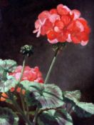 Norman Macbeth (1821-1888)oil on canvas,Pelegonian blooms,monogrammed, label remnant verso,9 x 7in.