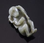 A Chinese celadon and black jade carving of a crouching monkey, 17th century or later, holding a
