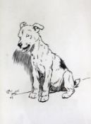 Cecil Aldin (1870-1935)pen and ink,Study of a seated terrier,signed and dated `07,11.5 x 7.25in.