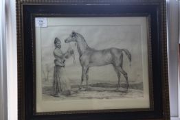 After Carle Vernetpencil drawing,Arab horse and rider,10.5 x 14.5in.