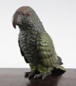 A large Austrian cold painted bronze model of a green parrot, 6in.