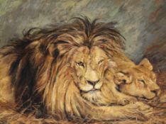 Circle of Herbert Dickseeoil on canvas,Lions at rest,24 x 30in.