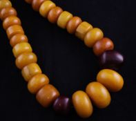 A large single strand graduated yellow and red amber bead necklace, gross weight 455 grams. 27in.
