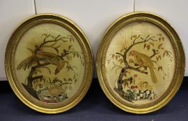 A pair of oval gilt framed needlework silk panels, depicting birds and flowering branches, some