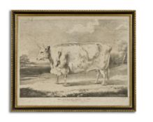 AFTER W.B. DAVIS, PRINTED BY C. HULLMANDEL, entitled ‘The Hereford Prize Ox; 1837, the Property of