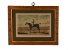 AFTER J. ROBERTS, ENGRAVED BY H. ROBERTS, 18TH CENTURY, Portrait of the racehorse Whynot, in a