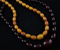 A single strand graduated yellow amber bead necklace, 20in, together with a graduated red bakelite