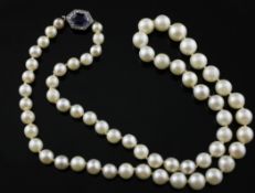 A 1920`s single strand graduated cultured pearl necklace with diamond and blue paste set clasp, 19.