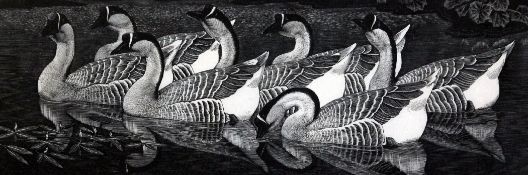 Charles Tunnicliffe (1901-1978)wood engraving,Chinese Geese,signed in pencil, 21/50,overall 6.25 x