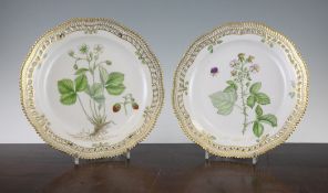 A pair of Royal Copenhagen Flora Danica plates, painted with botanical studies of `Rubus Vestitus