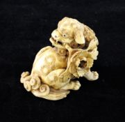 A Japanese ivory figure of a Kara shi-shi, Meiji period, seated grasping a flower in its mouth,