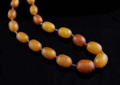A single strand graduated yellow amber bead necklace, 16in & one other plastic bead necklace.