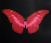 § Damien Hirst (b.1965)colour print,Red butterfly,signed in pencil and inscribed for Jon, Happy