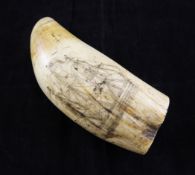 A 19th century scrimshaw whales tooth, 6in. A 19th century scrimshaw whales tooth, depicting a three