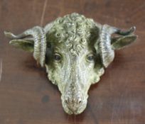 An Austrian cold painted bronze ram`s head wall applique, 6.25in. An Austrian cold painted bronze