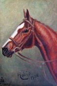Herbert St John Jones (fl.1905-1923) Rubio, 1908. Portrait of a racehorse, 8 x 5.5in. Herbert St