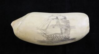 A scrimshaw whales tooth, 5in. A scrimshaw whales tooth, depicting a ship at full sail, 5in.