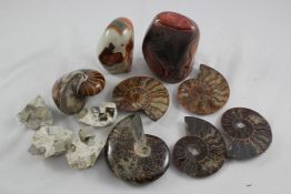 A collection minerals and ammonites, A collection minerals and ammonites, to include two polished