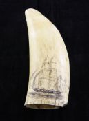 A 19th century scrimshaw whales tooth, 6.5in. A 19th century scrimshaw whales tooth, depicting the