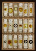 A cased set of twelve microscope slide trays, A cased set of twelve microscope slide trays, each