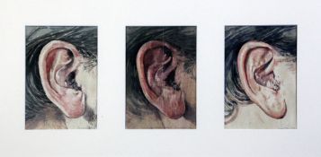 § Bryan Organ (1939- ) Studies of Bob`s right ear, 8 x 5.5in. § Bryan Organ (1939- )three