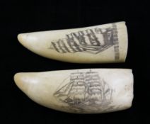 Two scrimshaw whales teeth, largest 5in. Two scrimshaw whales teeth, both depicting ships at full