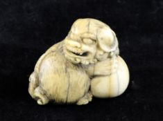 A Japanese ivory netsuke of a Buddhist lion, 19th century, 1.5in., fine cracks A Japanese ivory