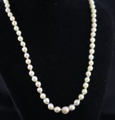 A 1920`s single strand graduated baroque pearl necklace with platinum and diamond set clasp, 18in. A