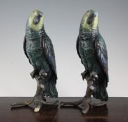 A pair of 20th century cold painted bronze parrots, marked MacDonald, 11in. A pair of 20th century