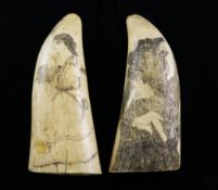 Two scrimshaw whales teeth, largest 7in. Two scrimshaw whales teeth, one depicting a bear and
